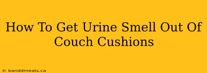 How To Get Urine Smell Out Of Couch Cushions