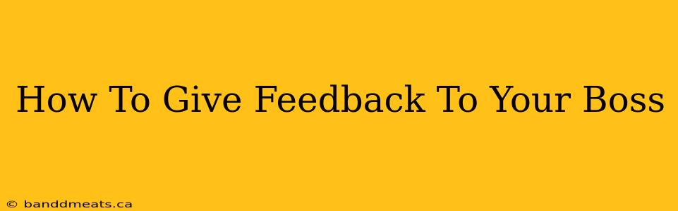 How To Give Feedback To Your Boss