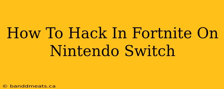 How To Hack In Fortnite On Nintendo Switch