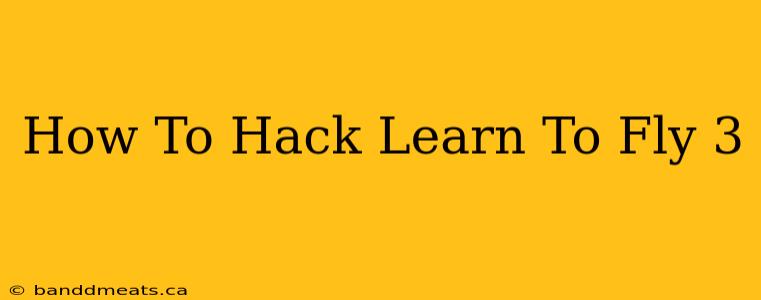 How To Hack Learn To Fly 3