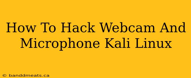 How To Hack Webcam And Microphone Kali Linux