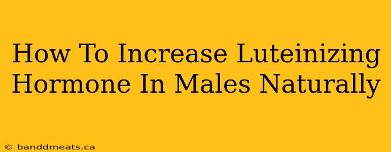 How To Increase Luteinizing Hormone In Males Naturally