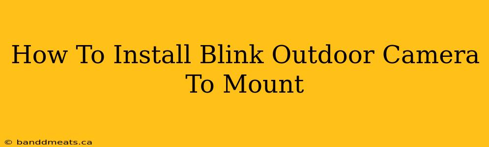 How To Install Blink Outdoor Camera To Mount