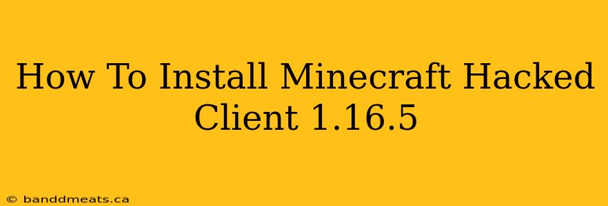 How To Install Minecraft Hacked Client 1.16.5