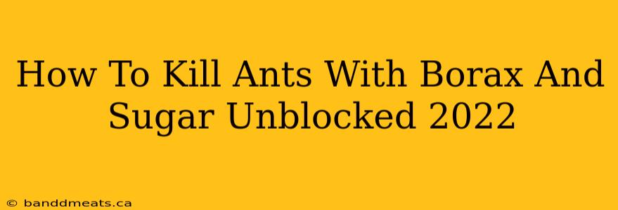 How To Kill Ants With Borax And Sugar Unblocked 2022