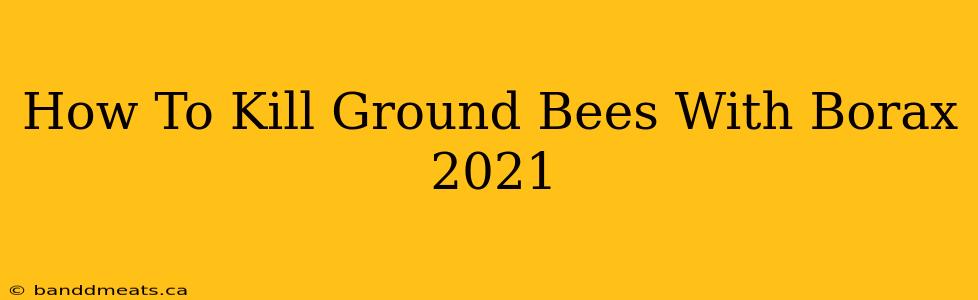 How To Kill Ground Bees With Borax 2021