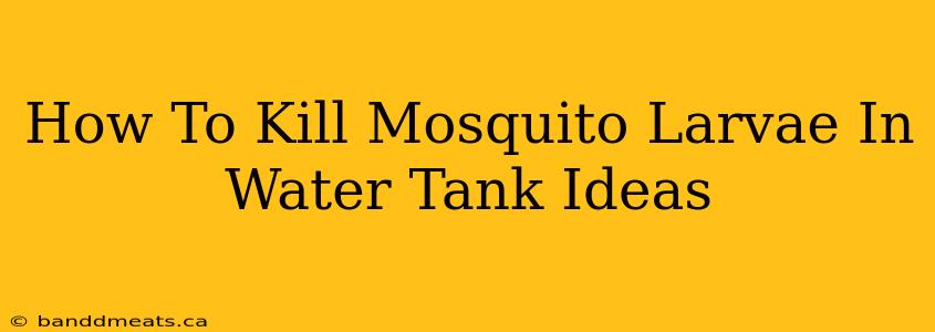 How To Kill Mosquito Larvae In Water Tank Ideas