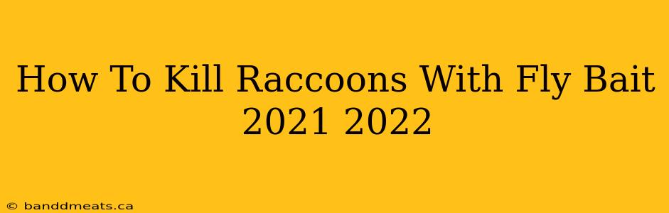 How To Kill Raccoons With Fly Bait 2021 2022