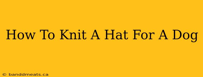 How To Knit A Hat For A Dog