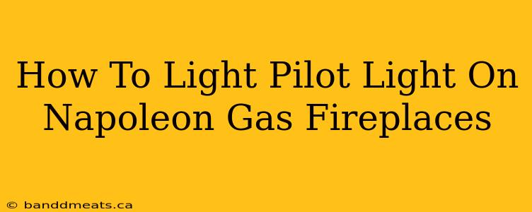 How To Light Pilot Light On Napoleon Gas Fireplaces