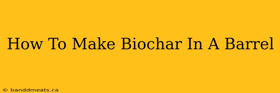 How To Make Biochar In A Barrel