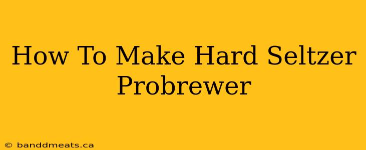 How To Make Hard Seltzer Probrewer