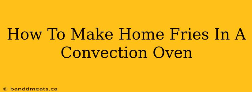 How To Make Home Fries In A Convection Oven