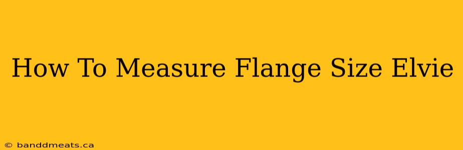 How To Measure Flange Size Elvie