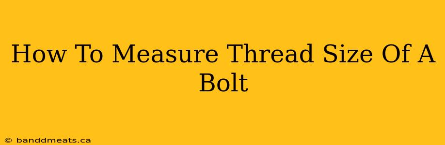 How To Measure Thread Size Of A Bolt