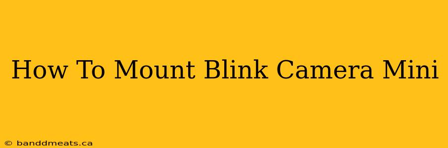 How To Mount Blink Camera Mini