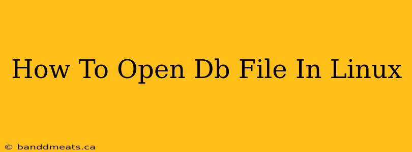 How To Open Db File In Linux