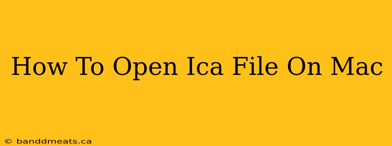 How To Open Ica File On Mac