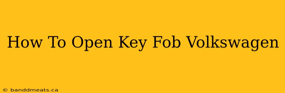 How To Open Key Fob Volkswagen