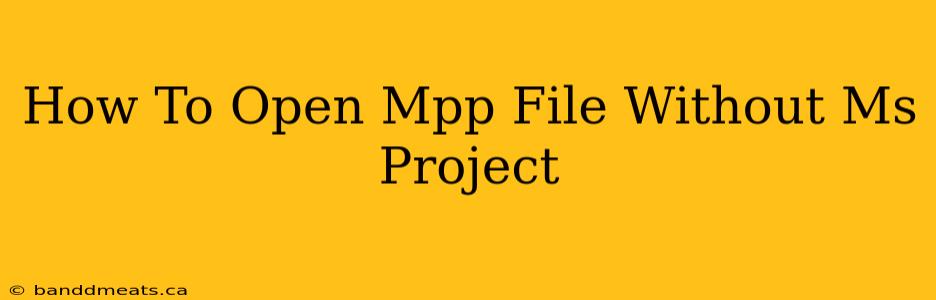 How To Open Mpp File Without Ms Project