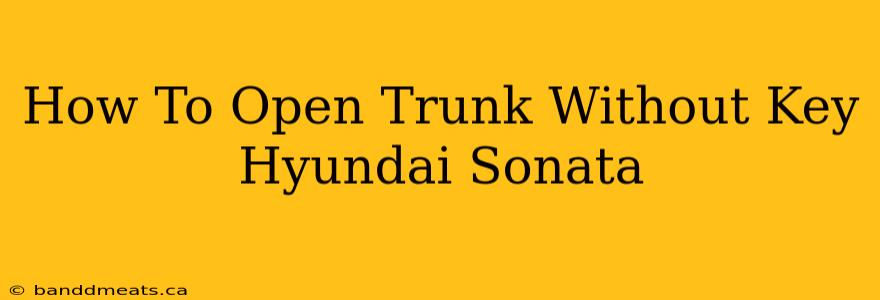 How To Open Trunk Without Key Hyundai Sonata