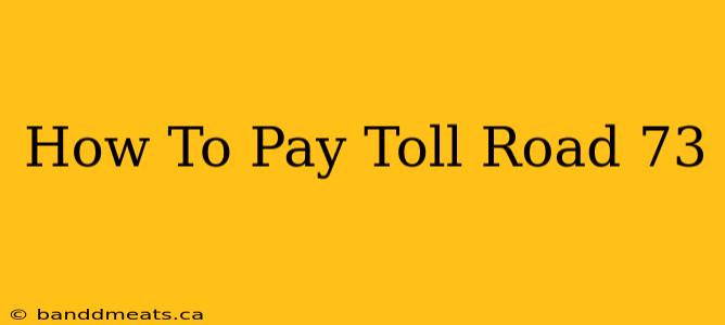 How To Pay Toll Road 73