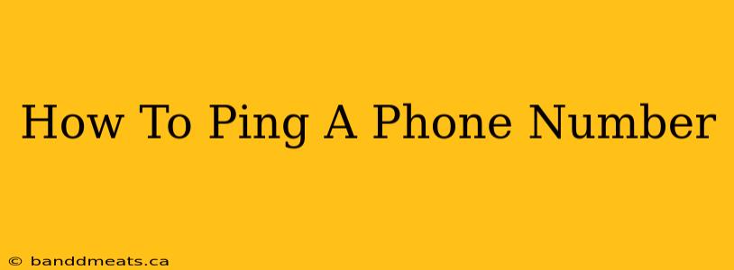 How To Ping A Phone Number