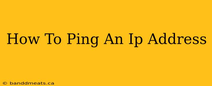 How To Ping An Ip Address