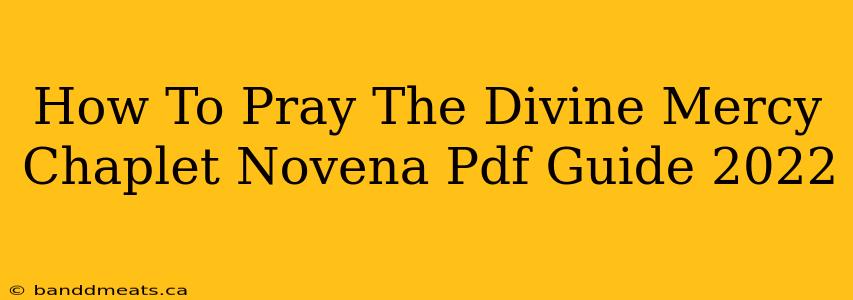 How To Pray The Divine Mercy Chaplet Novena Pdf Guide 2022