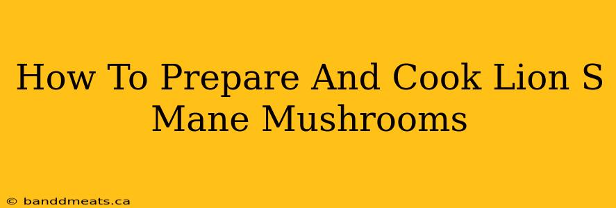 How To Prepare And Cook Lion S Mane Mushrooms