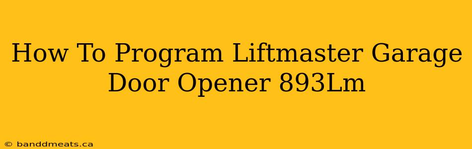 How To Program Liftmaster Garage Door Opener 893Lm