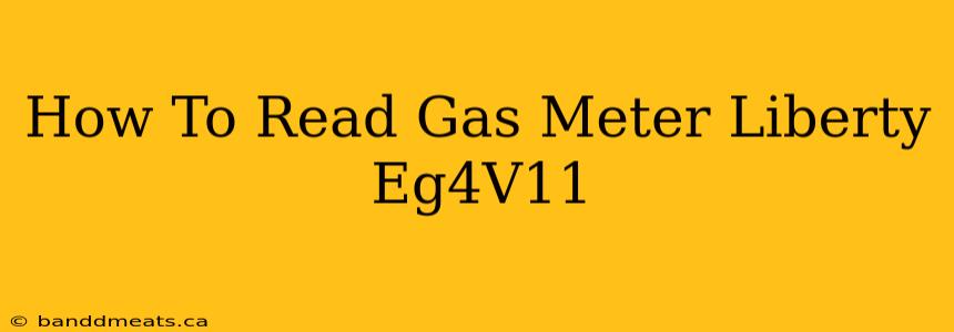 How To Read Gas Meter Liberty Eg4V11