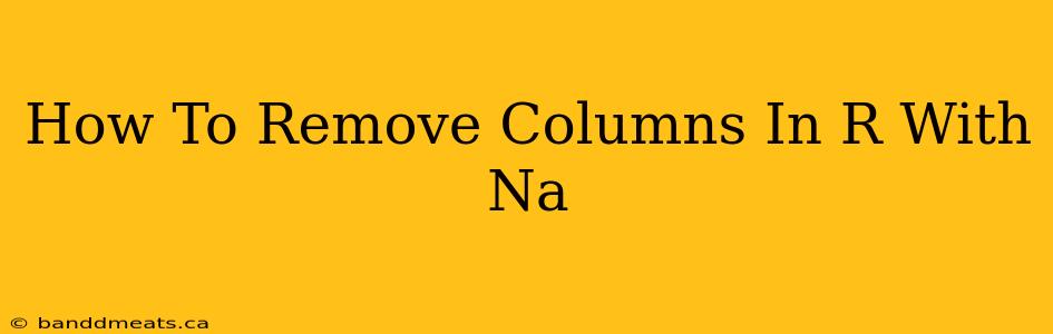 How To Remove Columns In R With Na