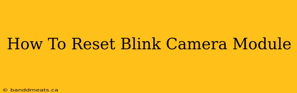 How To Reset Blink Camera Module