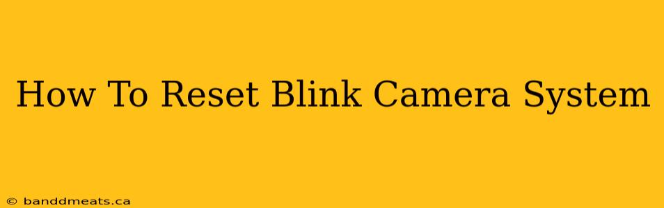 How To Reset Blink Camera System