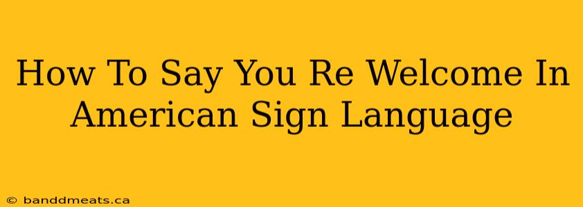 How To Say You Re Welcome In American Sign Language