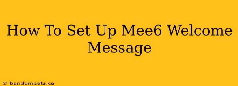 How To Set Up Mee6 Welcome Message