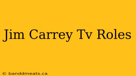 Jim Carrey Tv Roles