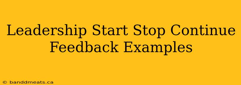 Leadership Start Stop Continue Feedback Examples