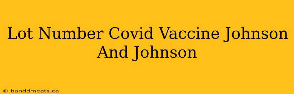 Lot Number Covid Vaccine Johnson And Johnson