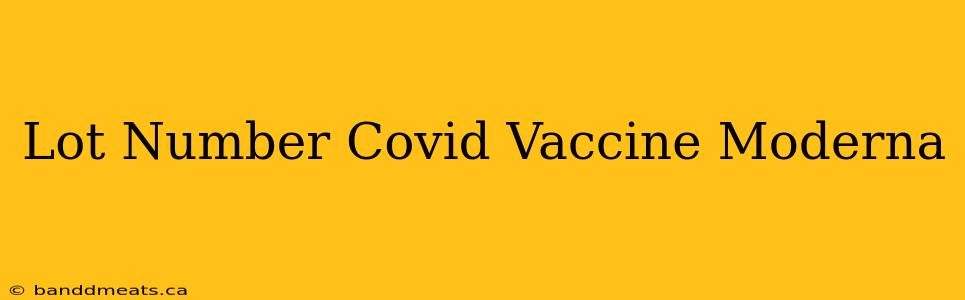 Lot Number Covid Vaccine Moderna