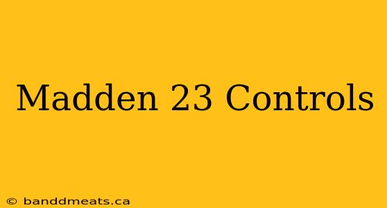 Madden 23 Controls