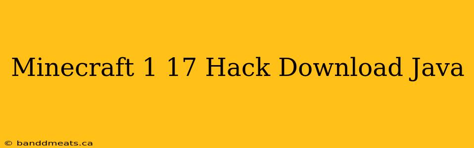 Minecraft 1 17 Hack Download Java