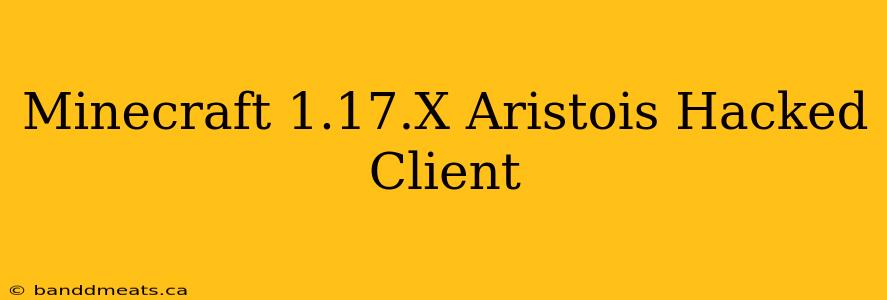 Minecraft 1.17.X Aristois Hacked Client