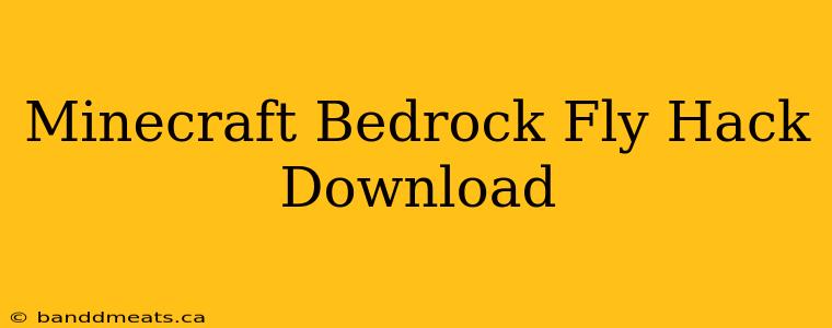 Minecraft Bedrock Fly Hack Download