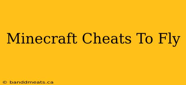 Minecraft Cheats To Fly