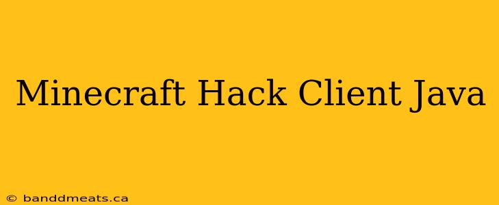 Minecraft Hack Client Java