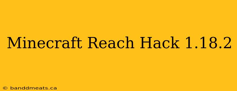 Minecraft Reach Hack 1.18.2