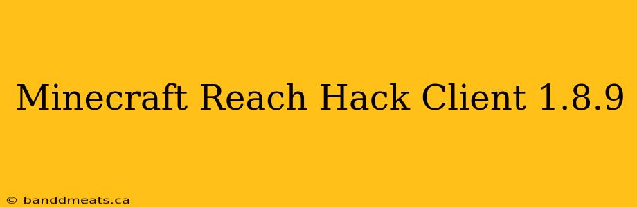 Minecraft Reach Hack Client 1.8.9