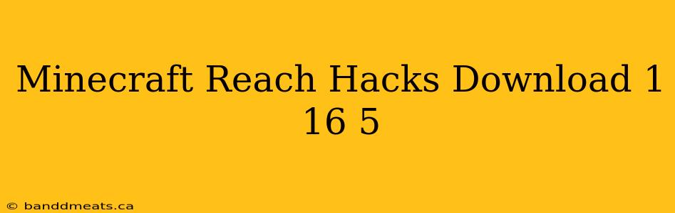 Minecraft Reach Hacks Download 1 16 5